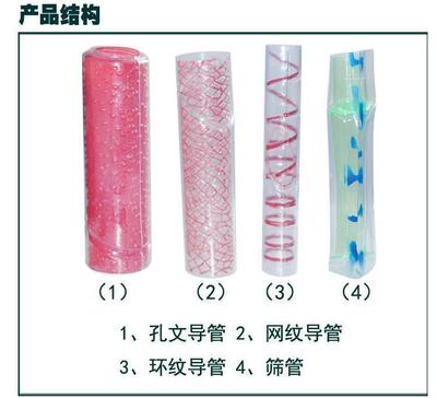 手作植物導(dǎo)管篩管模型 初中生物教學(xué)的直觀利器